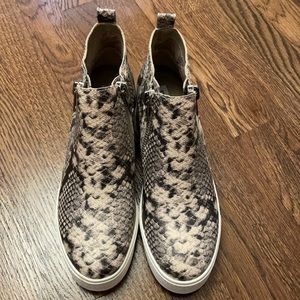 Steve Madden snakeskin sneaker